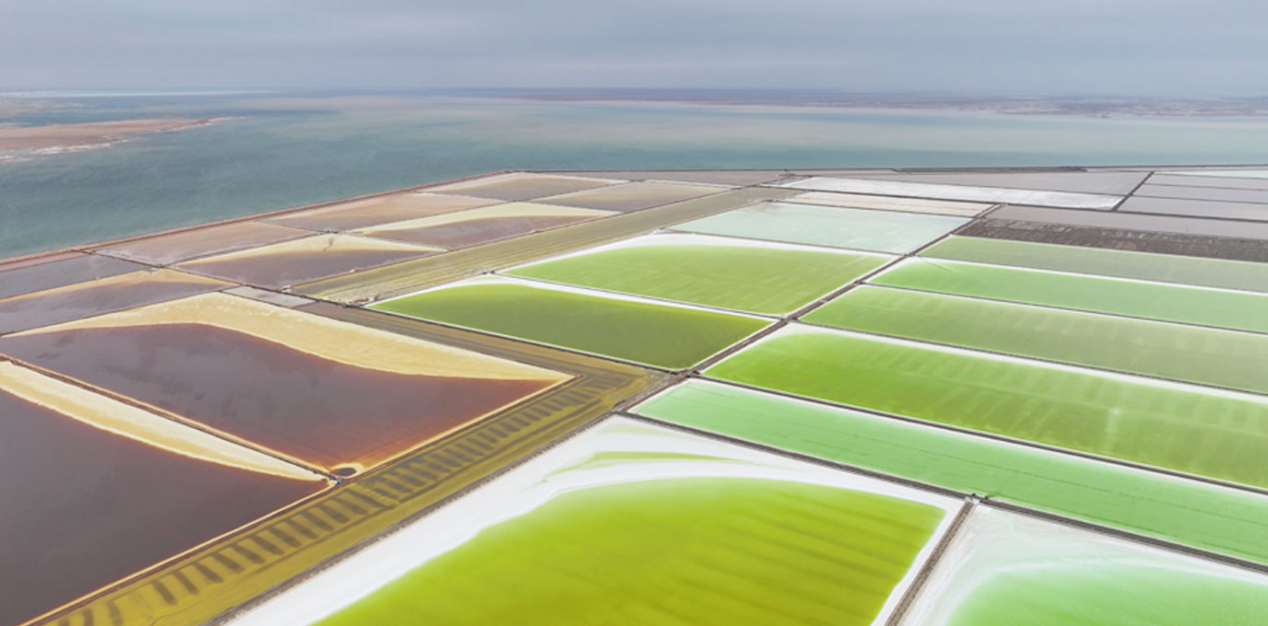 20250109279051.png ΢ÐÅͼƬ_20250109144226.png