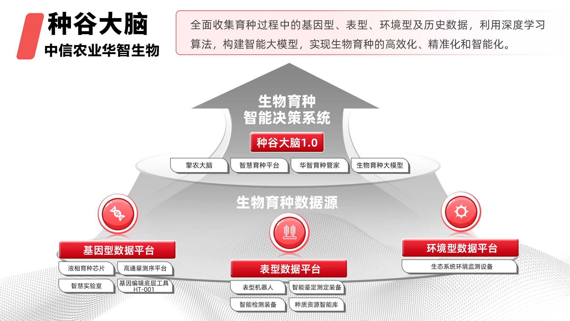 �ڲ�����-����Ϊ��,רҵ����!