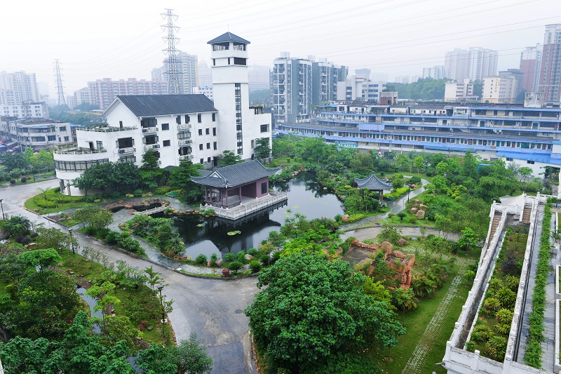 �ڲ�����-����Ϊ��,רҵ����!