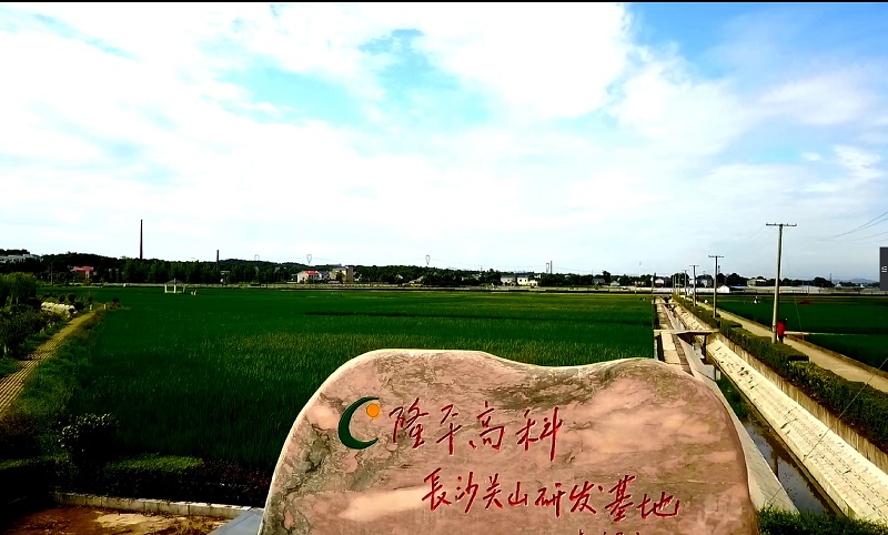 �ڲ�����-����Ϊ��,רҵ����!