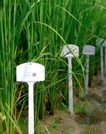 20190903656525.jpg 4.jpg