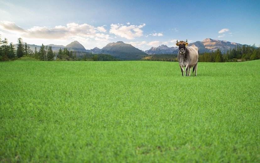 20200106687420.jpg 1.jpg