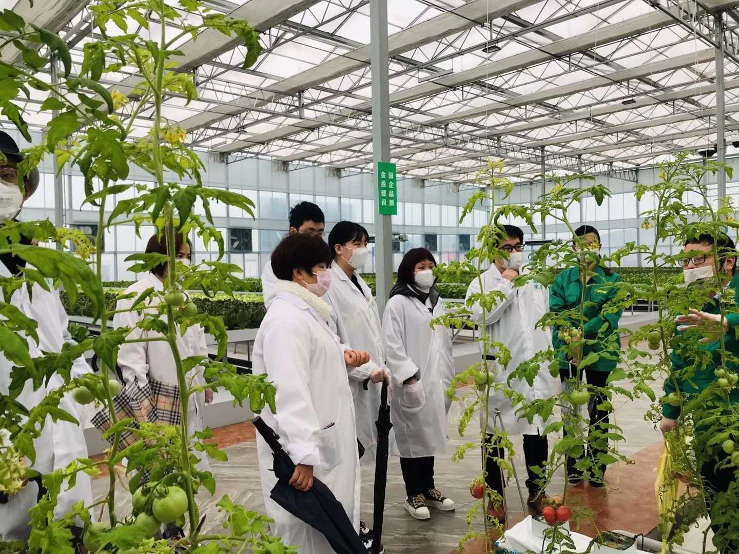 20200309412764.jpg 1.jpg