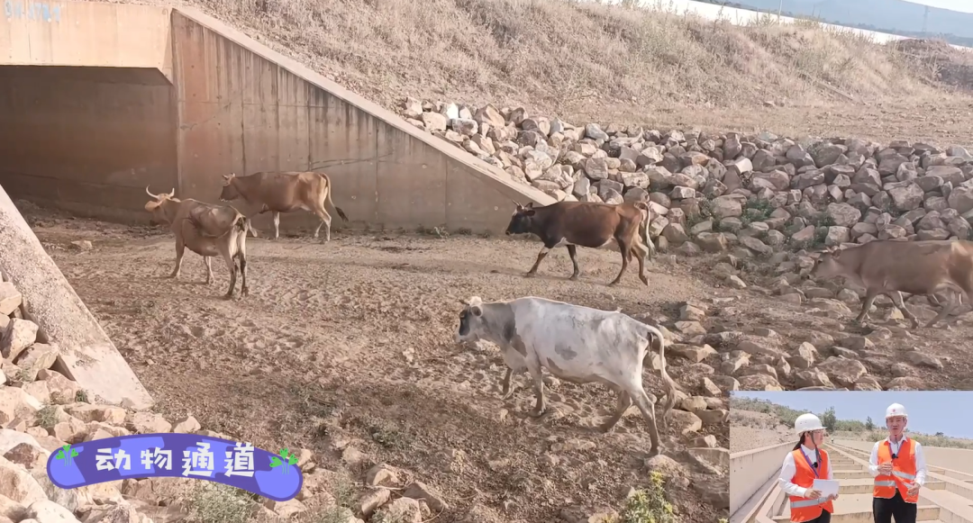 20220812515251.png ΢ÐÅͼƬ_20220812203113.png