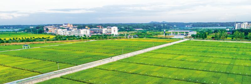 20250916832021.png ΢ÐÅͼƬ_2025-09-16_142619_980.png